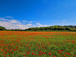 Image result for West Runton Bowls Club