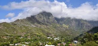 Attēlu rezultāti vaicājumam “Aranei exuvia”