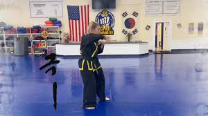 Image result for Surrey Choi Kwang-Do