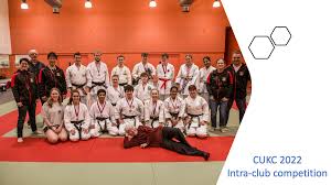 Image result for York University Karate Club