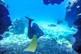 Image result for S England Dive Devil