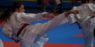 Image result for Newport Kyokushin Karate Club