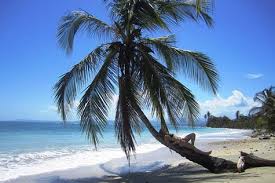 Image result for cahuita costa rica