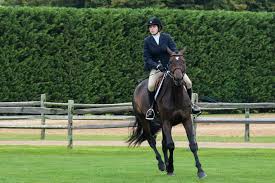Image result for South Weylands Equestrian