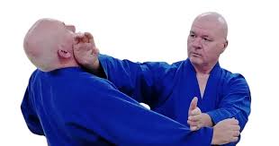 Image result for Bushin Kenpo Kai Schools