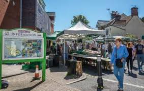 Image result for New Forest/Waterside