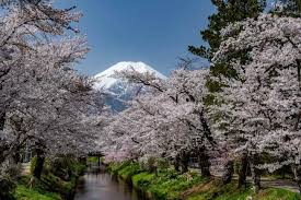 Image result for 水野X68仁義