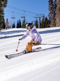 Image result for skiptondivers