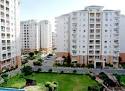 real estate,real estate market,real estate agent,business