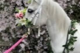 Image result for Polegate Rambling Club