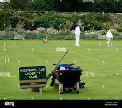 Image result for Middlesbrough Croquet Club