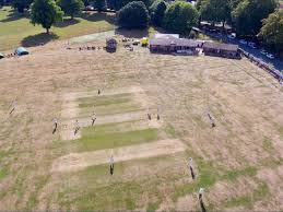 Image result for Hampole & Skelbrooke Cricket Club