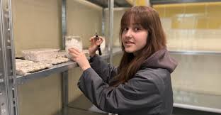 Attēlu rezultāti vaicājumam “Lycogala persicum sessile”