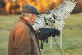 Image result for Haydock Hunters Speedminton Club