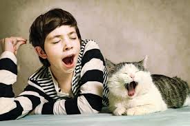 Image result for ***YAWN***search?q=***YAWN***search?sca_esv=9f7259ab7855135b Does yawning mean your tired
