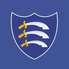 Image result for Ruislip Rfc