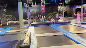 Image result for Fish trampoline and gymnastics club