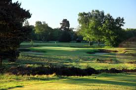 Image result for Walton Heath Golf Club