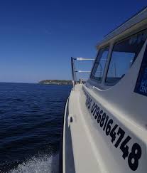 Image result for Iom Aquaholics