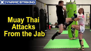 Image result for Jein Muay Thai