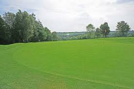 Image result for Billingham Golf Club