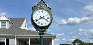 Image result for Norfolk Pikes Octopush Club