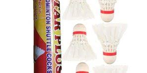 Image result for Flight Path Badminton Club