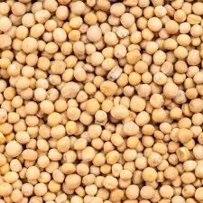 Attēlu rezultāti vaicājumam “Sinapis alba fruit”