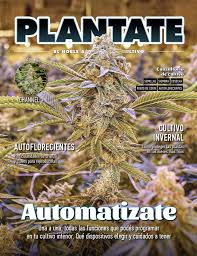 Resultado de imagen para la marihuana channel