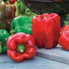 Afbeeldingsresultaat voor giant 3 sweet pepper