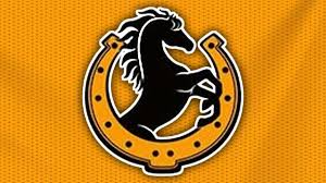 Image result for Onslow Boys Football Club