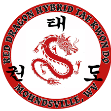 Image result for Red Dragon Taekwondo club