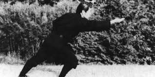 Image result for Bujinkan Crawley Dojo