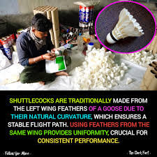 Image result for Feathers Badminton- Leatherhead