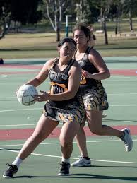 Image result for Civil Service (Ipswich) Netball Club