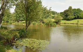 Image result for Swanage & District Angling Club