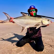 Image result for Lichia amia