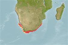 Image result for Poroderma pantherinum