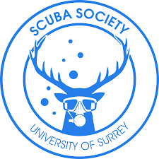 Image result for Surrey Aquanauts B S A C 0689