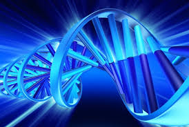 Possible Link Between <b>Alzheimer's</b> Disease And Diabetes - Health <b>...</b>