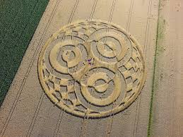 Image result for crop circles