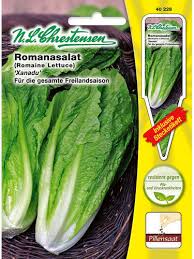 Image result for Römischer Salat