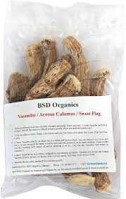 Image result for Calamus nodosus