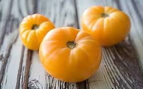 Afbeeldingsresultaat voor amana orange beefsteak tomato