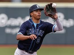 Image result for World Groundball Association