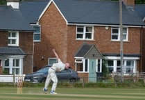 Image result for Waverley Cricket Club