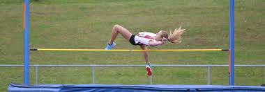 Image result for South London Harriers