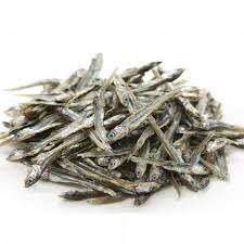 Attēlu rezultāti vaicājumam “Charales”