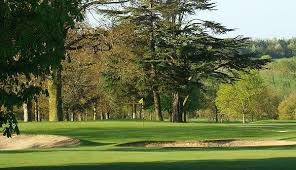 Image result for Braintree Cricket Club