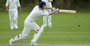 Image result for Brewood Cricket Club